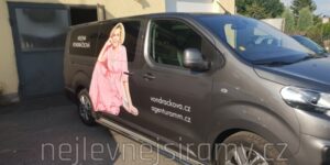 TA Boční ochranné nerezové celonášlapy pro Citroen Jumpy/Peugeot Expert-Traveller 2016